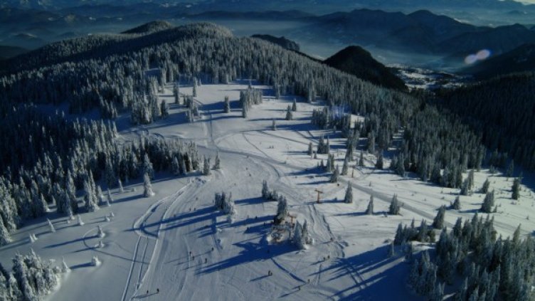 Снимка: архив "Булфото"