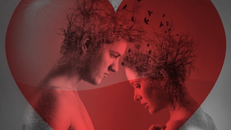 Снимка: Pixabay