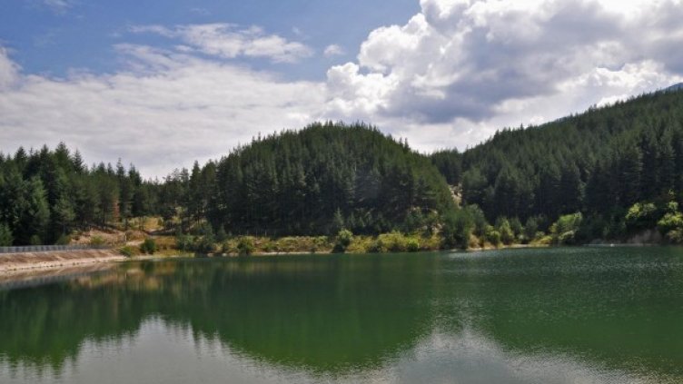 Снимка: Bulfoto, архив