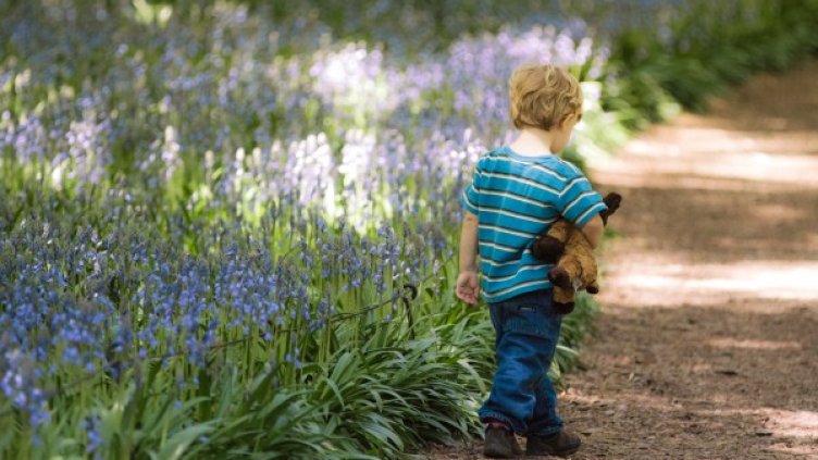 Снимка: visualhunt.com