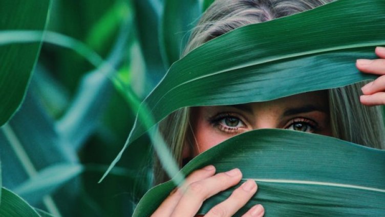 Снимка: pexels.com