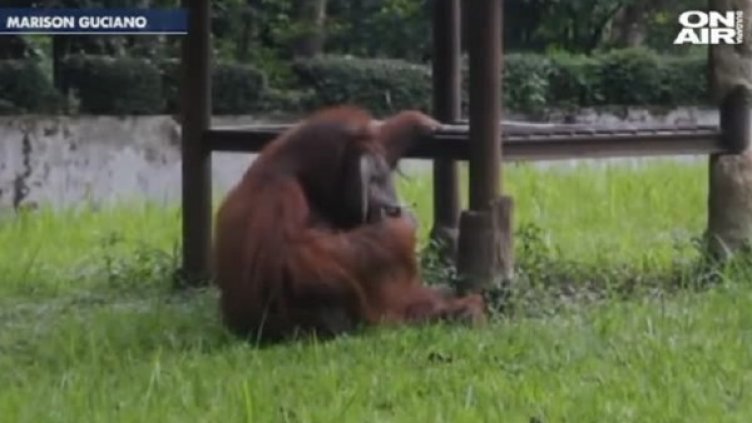 Снимка: Bulgaria ON AIR