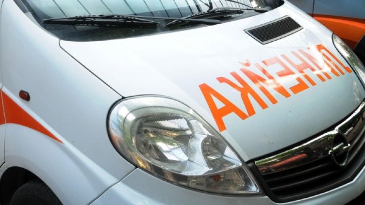 Снимка: Архив, Булфото