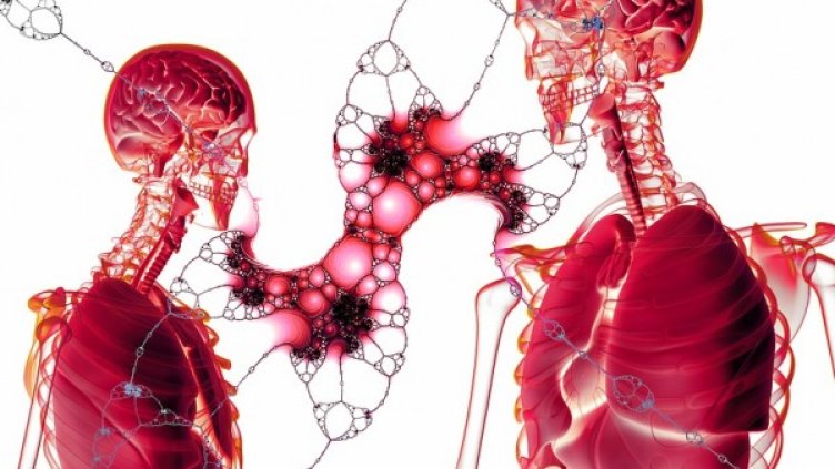 Снимка: Pixabay