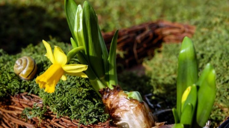 Снимка: pixabay.com