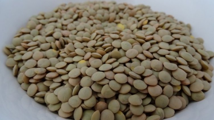 Снимка: pixabay.com