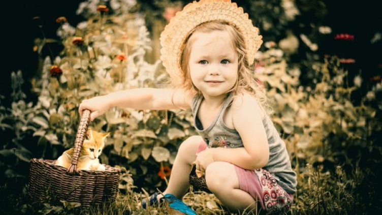 Снимка: pexels