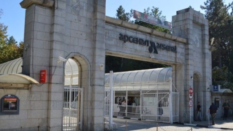 Снимка: архив