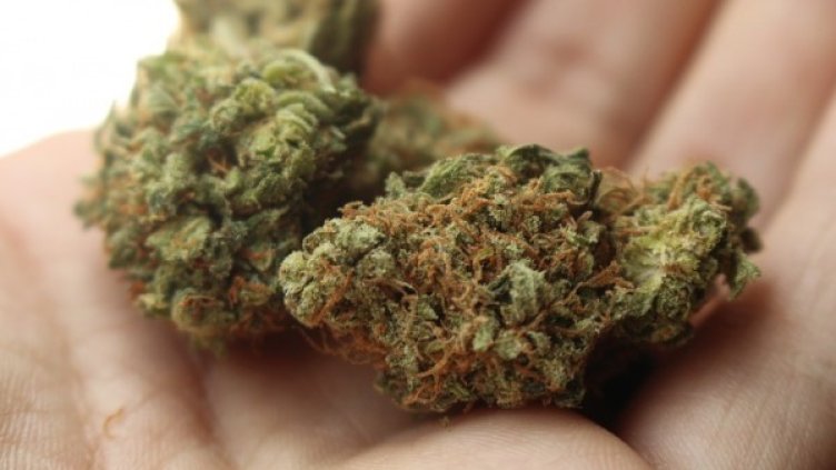 Снимка: Pixabay