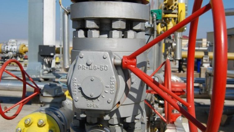 Снимка: архив, БулФото