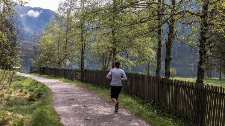 Снимка: Pixabay