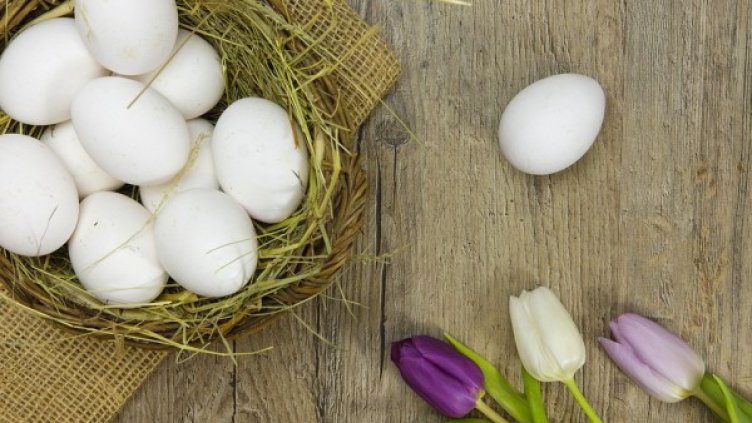 Снимка: Pixabay