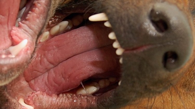 Снимка: Visualhunt