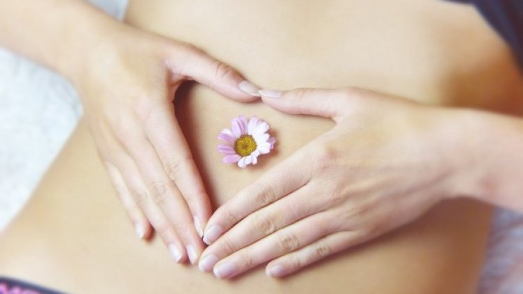 Снимка: pixabay