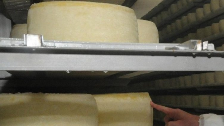 Снимка: архив, БулФото