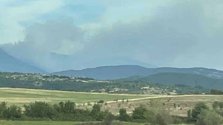 БГНЕС, архив