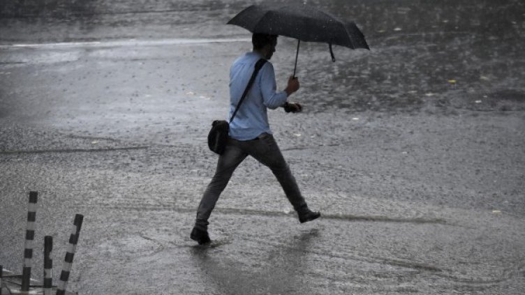 Снимка: архив "Булфото"