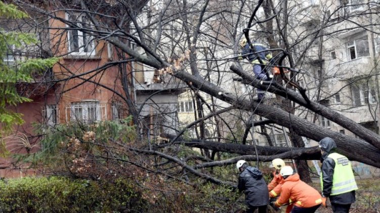 Снимка: Булфото