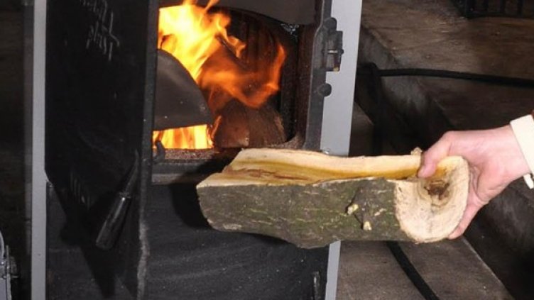 Снимка: архив, Булфото