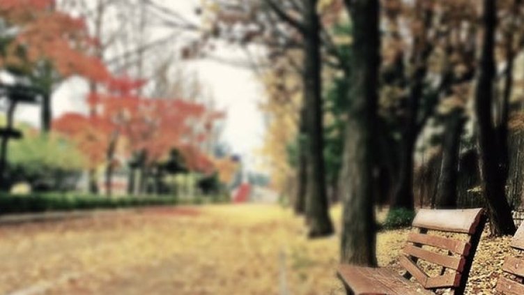 Снимка: pexels.com