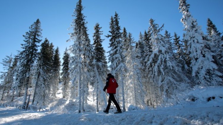 Снимка: архив, БТА
