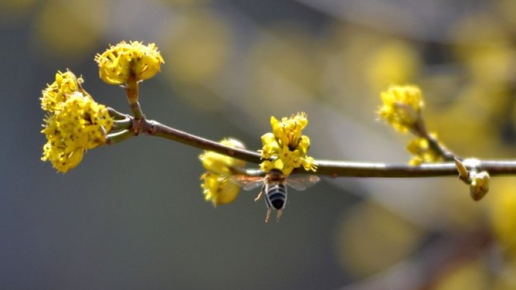 Слънчевият ден носи по-добро настроение. Снимка: архив, БТА