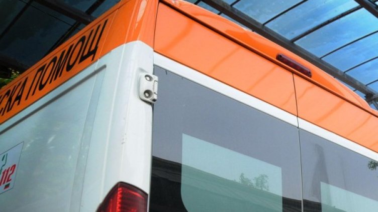 Снимка: Архив, Булфото