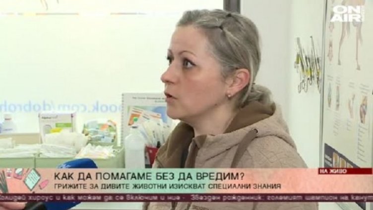 Снимка: Bulgaria ON AIR