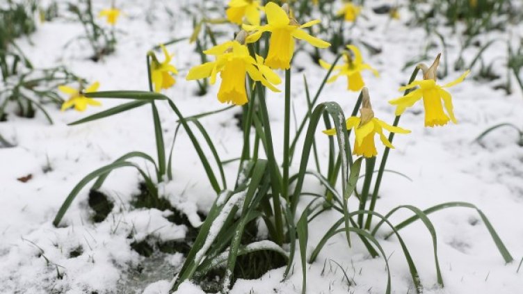 Снимка: архив Reuters