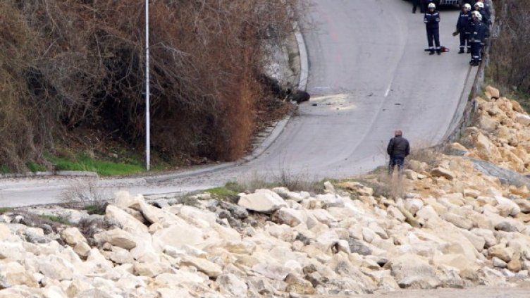 Снимка: архив, Булфото