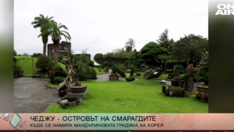 Снимка: Bulgaria ON AIR