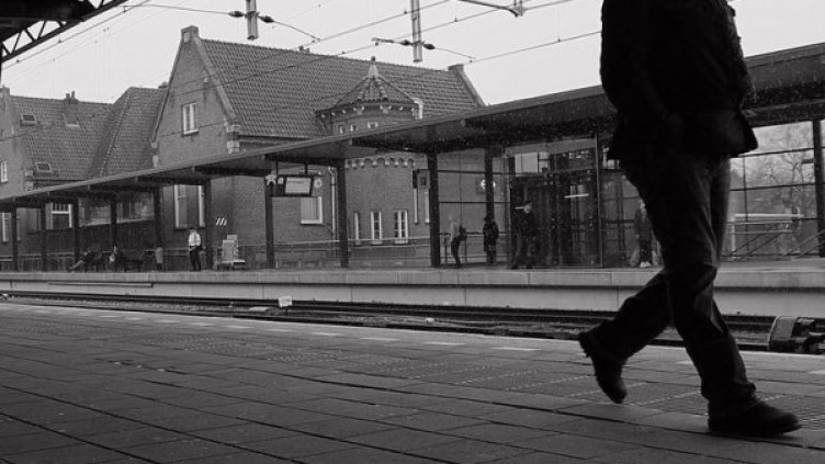 Снимка: pexels.com