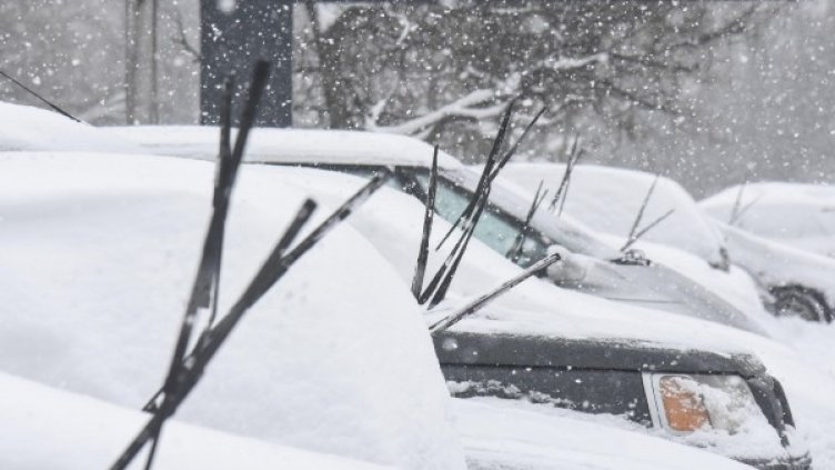 Снимка: архив "Булфото"