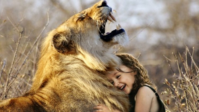 Снимка: Pixabay