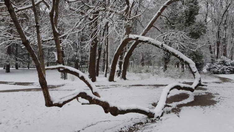 Снимка: Булфото