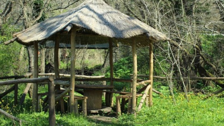 Снимка: Instagram