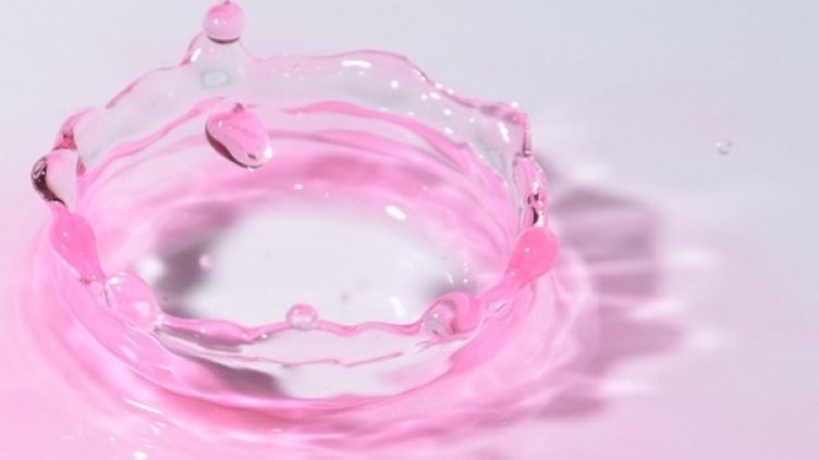 Снимка: pixabay