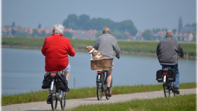 Снимка: pexels.com