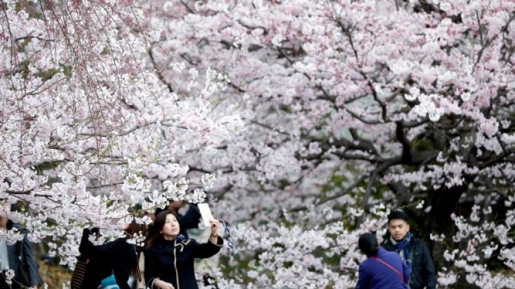 Снимка: Reuters, архив