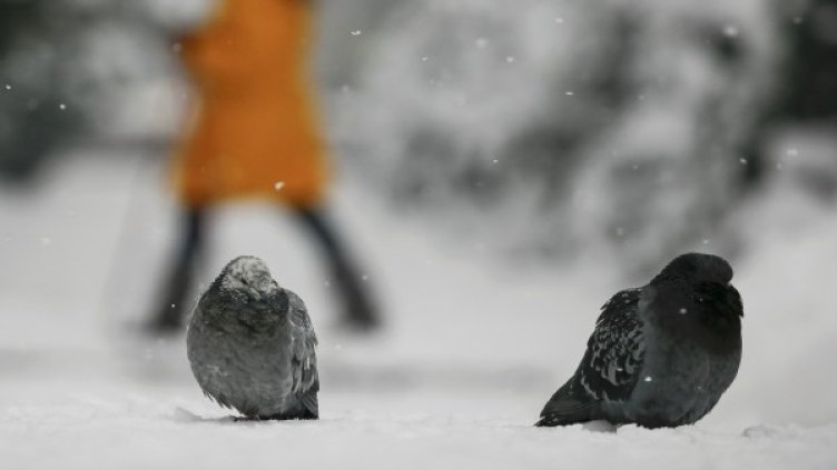 Снимка: Reuters, архив