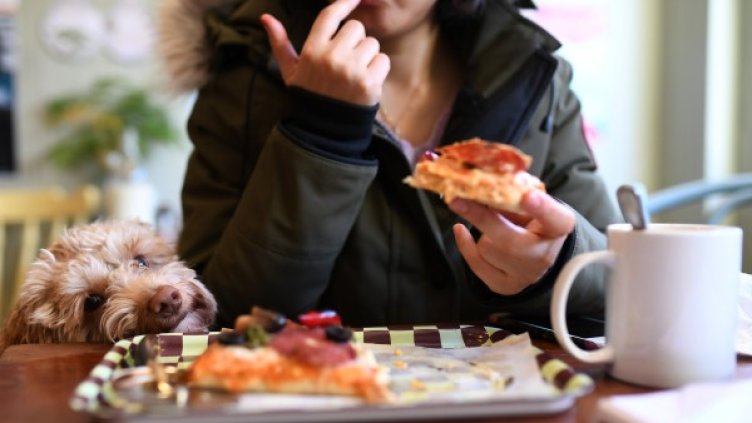 Снимка: Reuters, архив