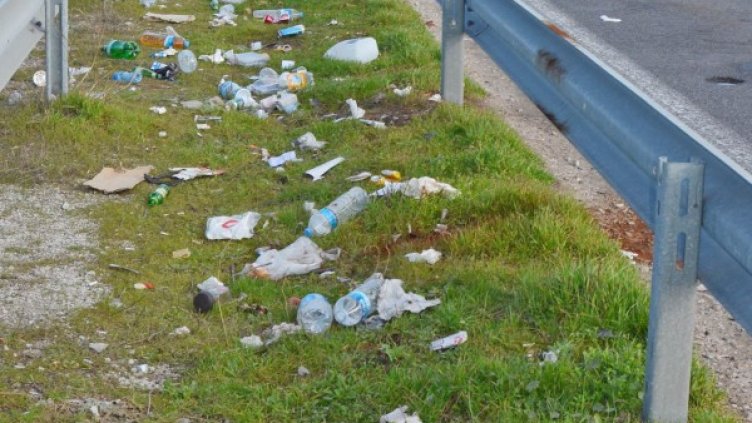 Снимка: архив "Булфото"