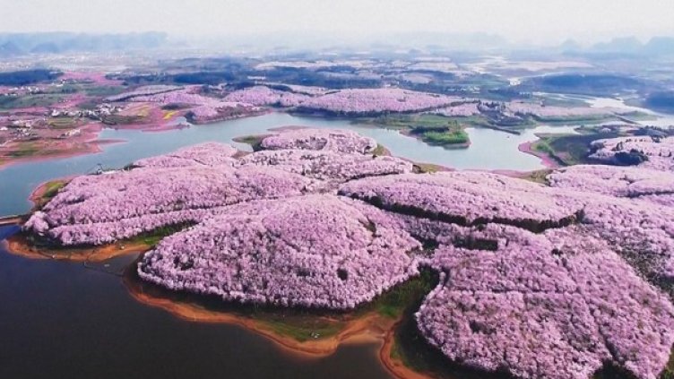 Снимка: YouTube