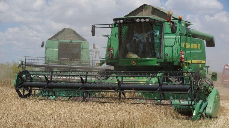 Снимка: Булфото, архив