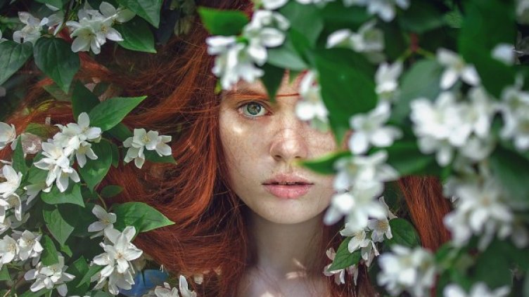 Снимка: Pixabay