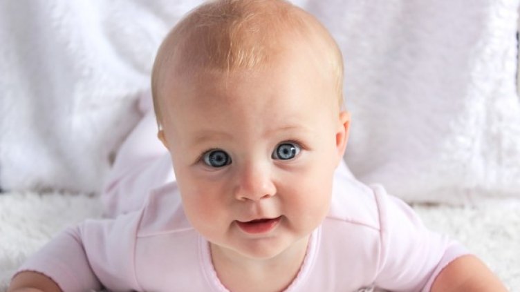 Снимка: pixabay