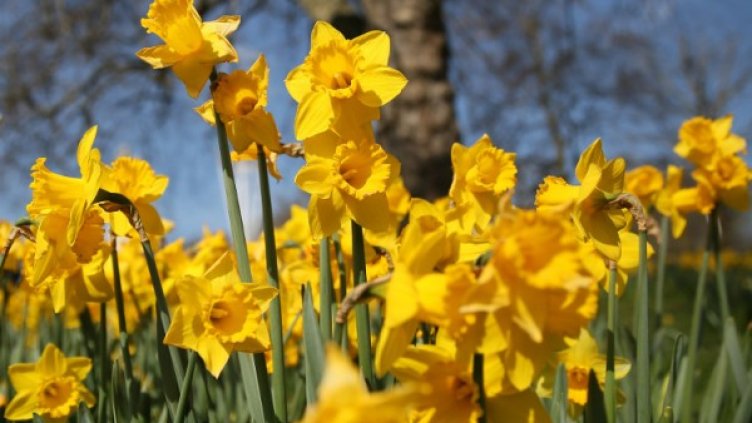 Снимка: архив, Reuters