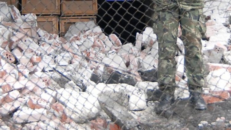 Снимка: архив "Булфото"