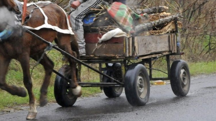 Архив: Булфото
