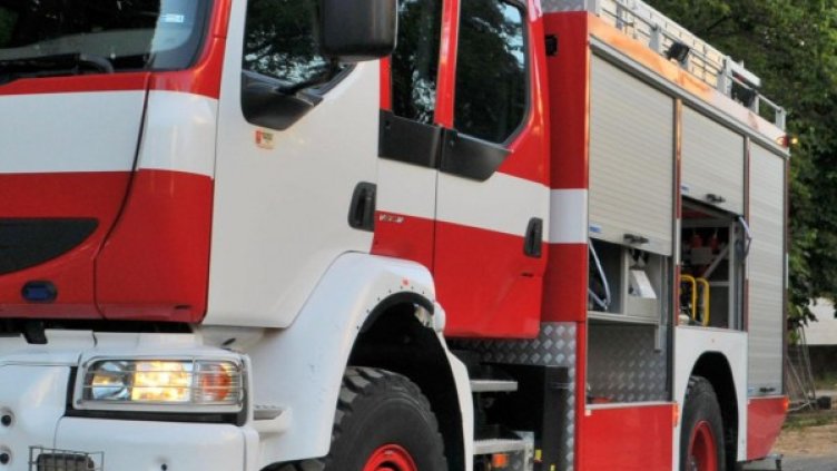 Снимка: Архив, Булфото